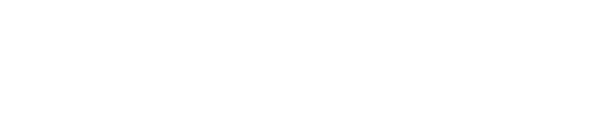 Nexus Solutions International